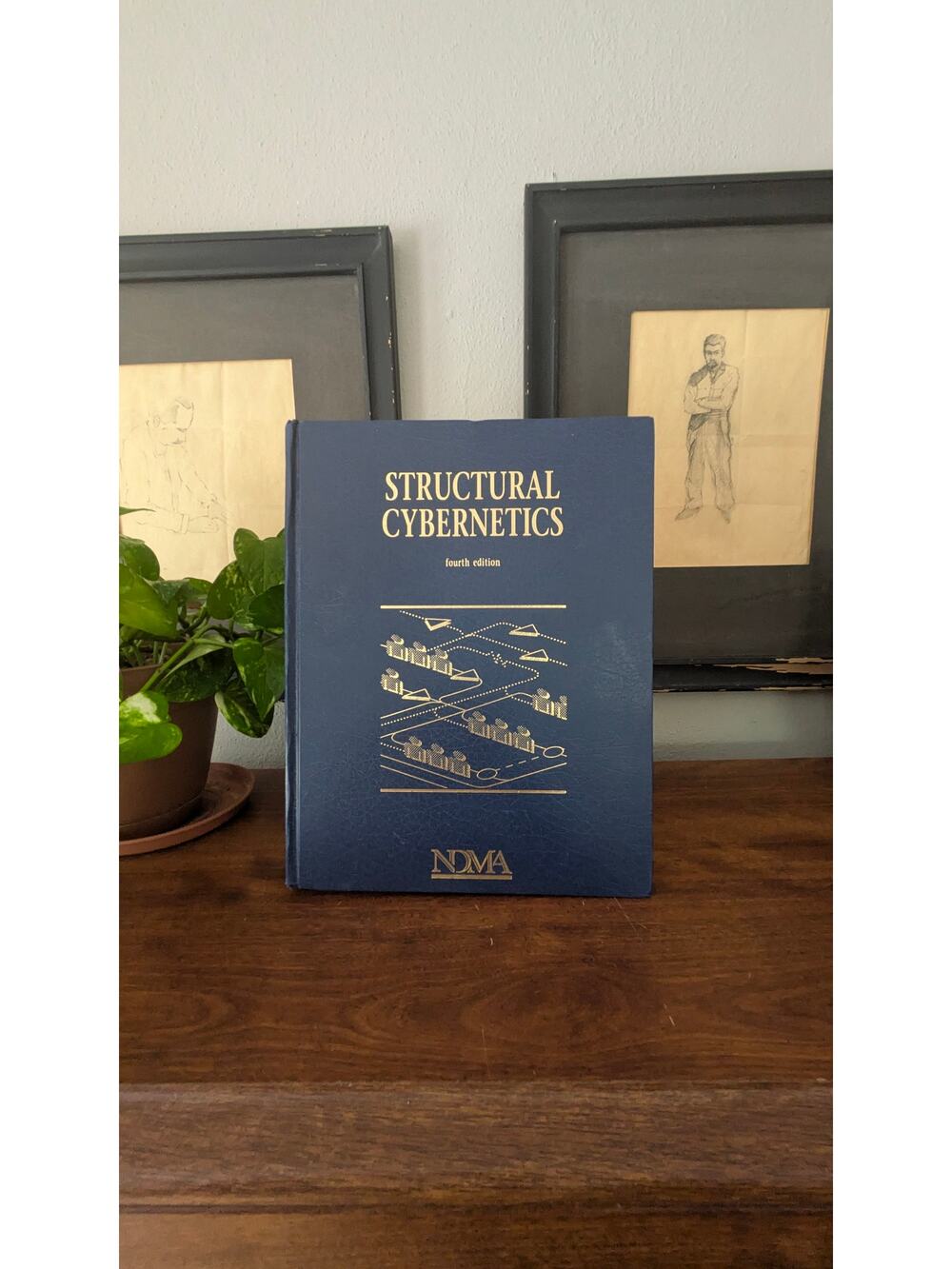 Structural Cybernetics Fourth Edition N. Dean Meyer NDMA 1995 Hardcover